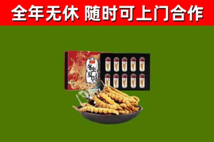 济宁烟酒回收冬虫夏草礼盒.jpg